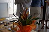 DSC_0058.jpg